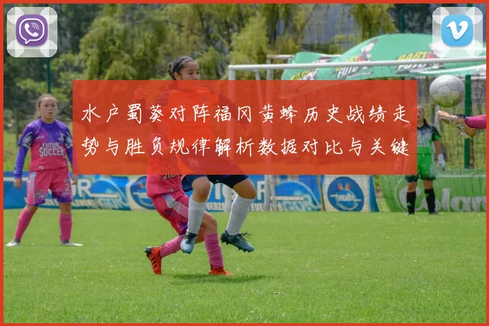 水户蜀葵对阵福冈黄蜂历史战绩走势与胜负规律解析数据对比与关键因素