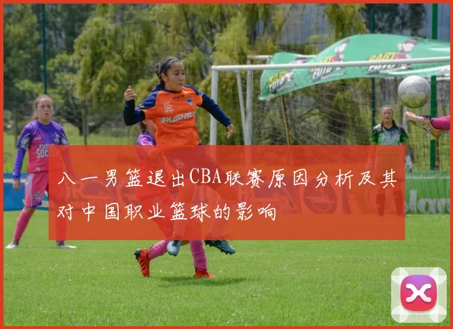 八一男篮退出CBA联赛原因分析及其对中国职业篮球的影响