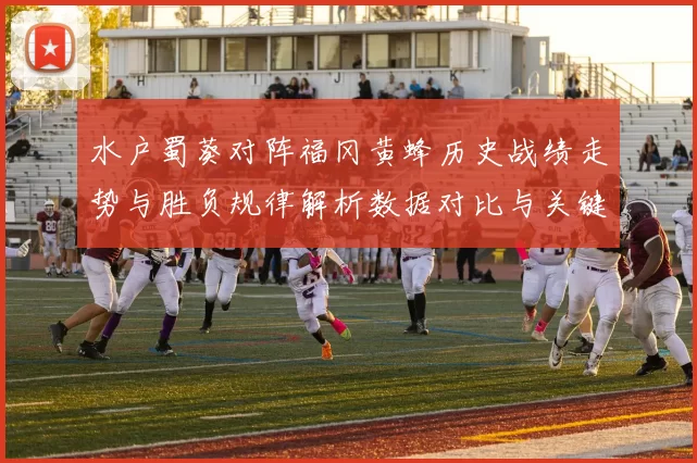 水户蜀葵对阵福冈黄蜂历史战绩走势与胜负规律解析数据对比与关键因素