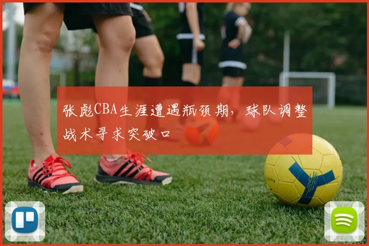 张彪CBA生涯遭遇瓶颈期，球队调整战术寻求突破口