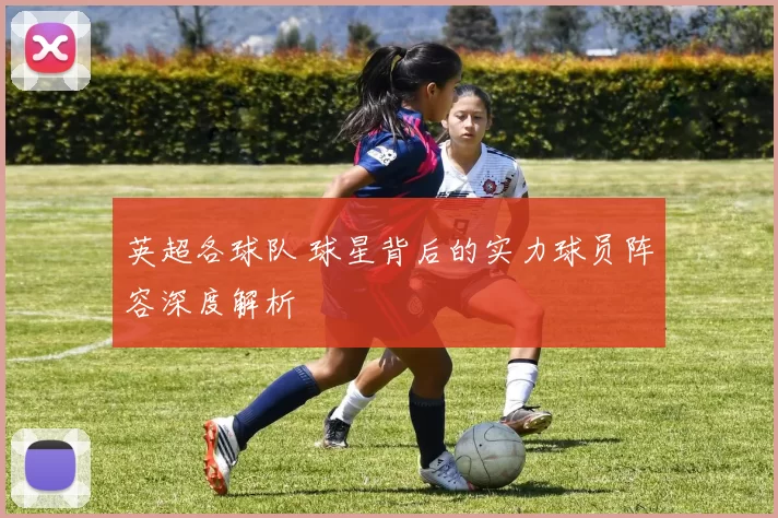 英超各球队 球星背后的实力球员阵容深度解析