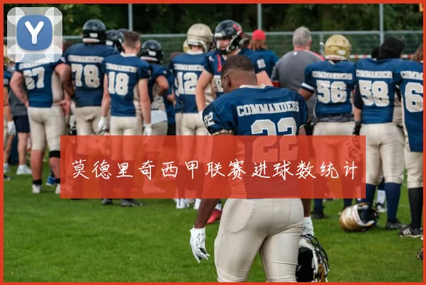 莫德里奇西甲联赛进球数统计