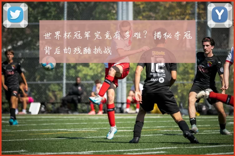 世界杯冠军究竟有多难？揭秘夺冠背后的残酷挑战