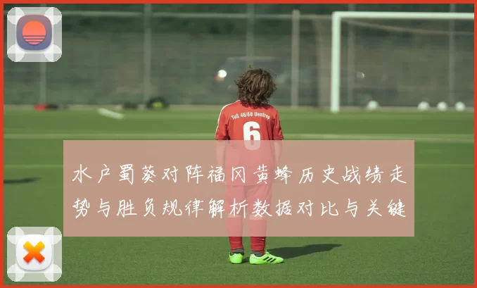 水户蜀葵对阵福冈黄蜂历史战绩走势与胜负规律解析数据对比与关键因素