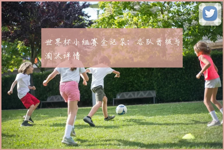 世界杯小组赛全记录：各队晋级与淘汰详情
