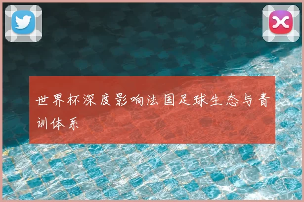 世界杯深度影响法国足球生态与青训体系