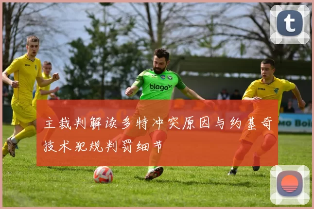 主裁判解读多特冲突原因与约基奇技术犯规判罚细节