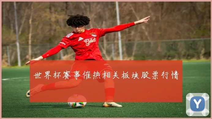 世界杯赛事催热相关板块股票行情