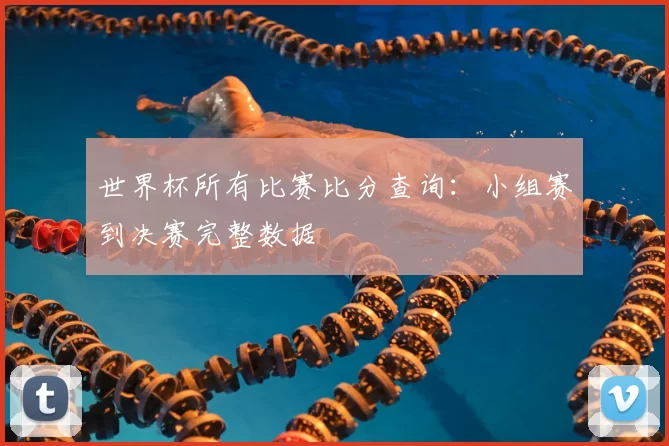 世界杯所有比赛比分查询：小组赛到决赛完整数据