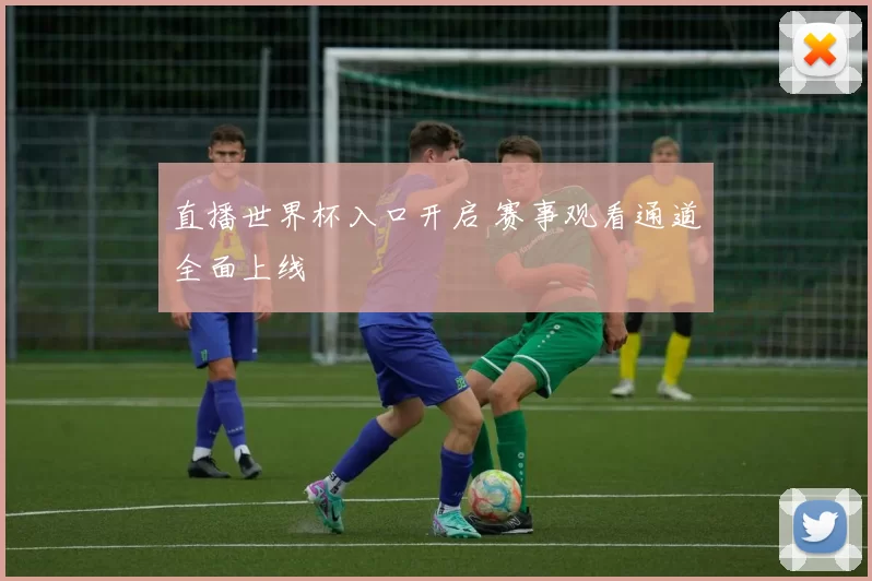 直播世界杯入口开启 赛事观看通道全面上线