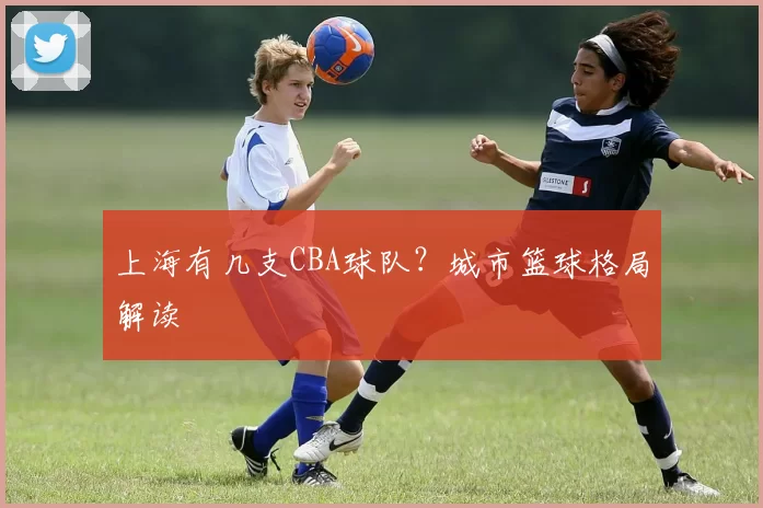 上海有几支CBA球队?城市篮球格局解读