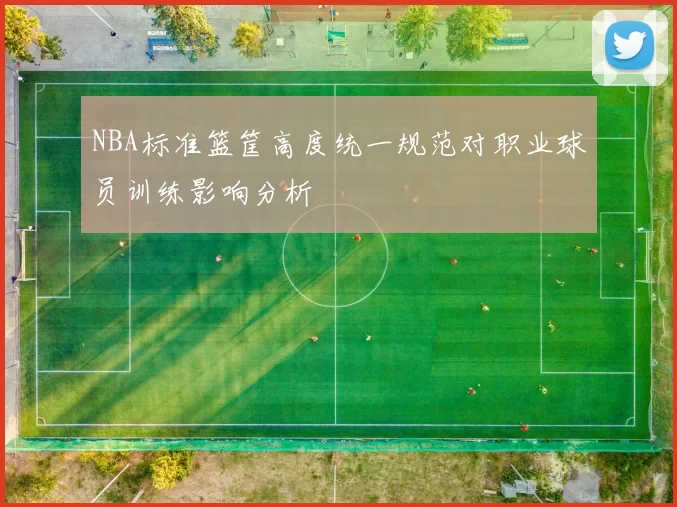 NBA标准篮筐高度统一规范对职业球员训练影响分析