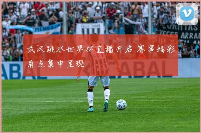 武汉跳水世界杯直播开启 赛事精彩看点集中呈现