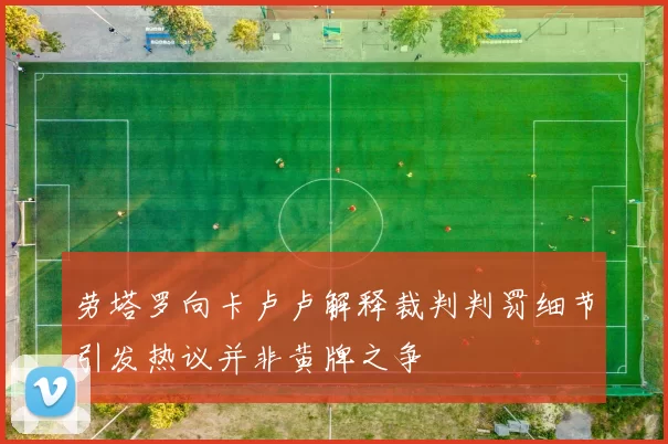 劳塔罗向卡卢卢解释裁判判罚细节引发热议并非黄牌之争