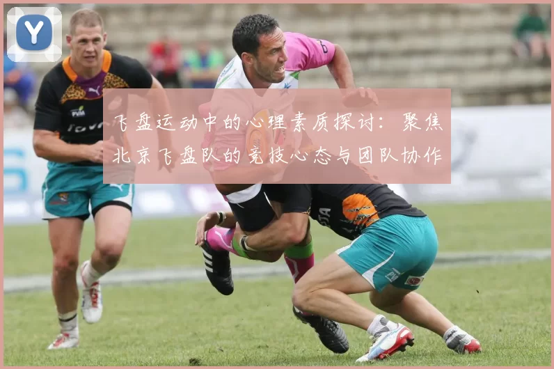 飞盘运动中的心理素质探讨：聚焦北京飞盘队的竞技心态与团队协作