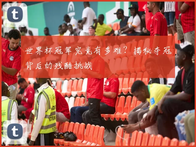 世界杯冠军究竟有多难？揭秘夺冠背后的残酷挑战